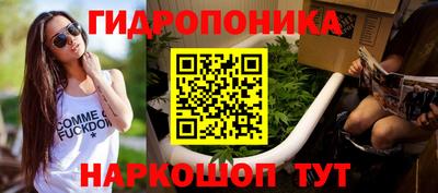 соль ск Гатчина