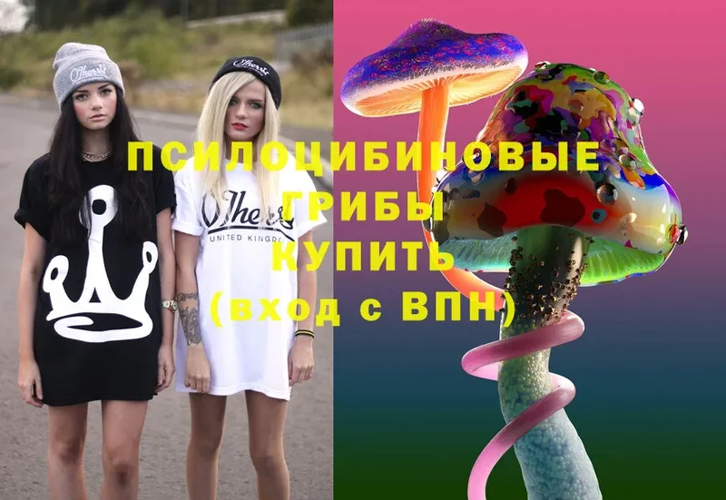 Галлюциногенные грибы Cubensis  дарнет шоп  Удомля 