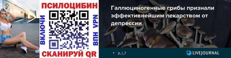 MEGA ссылки  Удомля  Псилоцибиновые грибы мицелий 