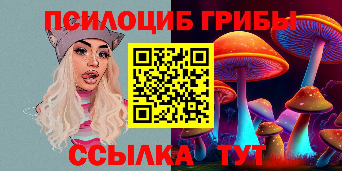 как найти   Галлюциногенные грибы Psilocybine cubensis  Вход с VPN  Удомля  Псилоцибиновые грибы Cubensis 
