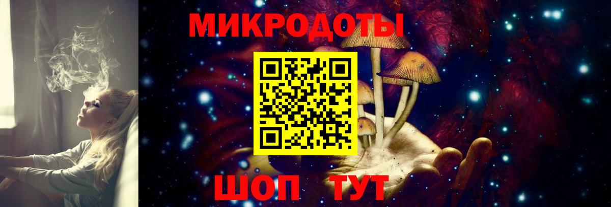 Псилоцибиновые грибы GOLDEN TEACHER Удомля